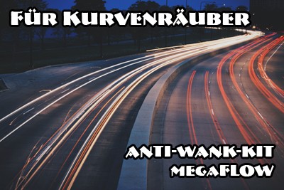 megafLOW Anti-Wank-KIT DUAL für beide Achsen